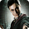Harry Potter: Fight the Death Eaters jeu