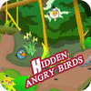 Hidden Angry Birds jeu