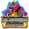 Les Labyrinthes Magiques jeu