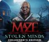 Maze: Stolen Minds Collector's Edition jeu