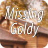 Missing Goldy jeu