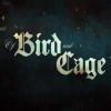 Of bird and cage jeu