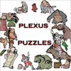 Plexus Puzzles jeu