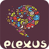 Plexus Puzzles: Rebuild the Earth jeu