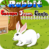 Rabbit Escape From Eagle jeu