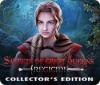 Secrets of Great Queens: Regicide Collector's Edition jeu