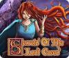 Secrets of the Lost Caves jeu