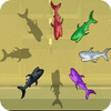 Shark Hunter jeu