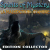 Spirits of Mystery: La Malédiction d'Ambre Edition Collector jeu