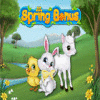 Spring Bonus jeu