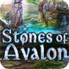Stones Of Avalon jeu