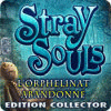 Stray Souls: L'Orphelinat Abandonné game