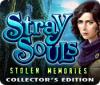Stray Souls: Stolen Memories Collector's Edition jeu