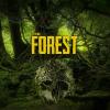 The Forest game