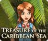 Treasure of the Caribbean Seas jeu