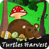 Turtles Harvest jeu