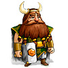 Viking Brothers jeu