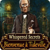 Whispered Secrets: Bienvenue à Tideville jeu