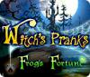 Witch's Pranks: Frog's Fortune jeu