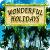 Wonderful Holidays jeu