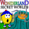 Wonderland Secret Worlds jeu